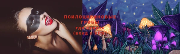 экстази Арсеньев