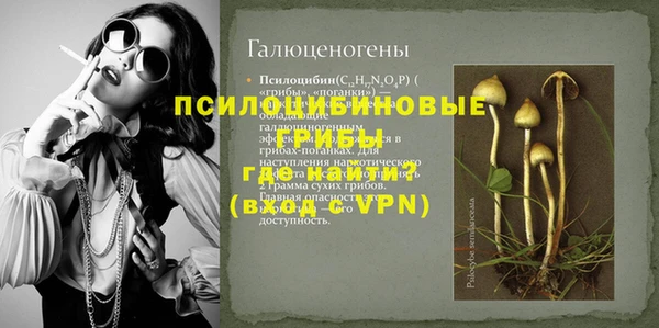 экстази Арсеньев